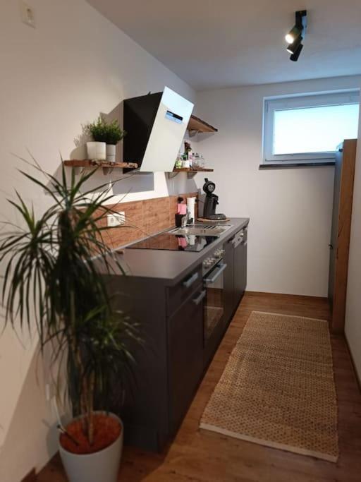 Altholzapartment In Kempten Вальтенхофен Экстерьер фото